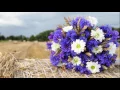 Павло Зібров - Доня моя донечка