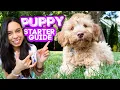 FIRST DAYS WITH NEW PUPPY Everything you need to know and do