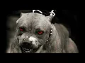 Download Lagu 2Pac ft. Tech N9ne, Freddie Gibbs \u0026 Young Buck - Remix Slayers (Remix 2018)