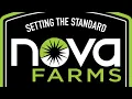 Nova Farms Has Built a Powerhouse Cannabis Company Across Five States