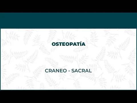 Osteopatía Craneo Sacral - FisioClinics Madrid