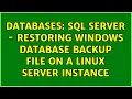 Databases sql server - Restoring Windows Database Backup File on a Linux Server Instance