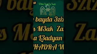 جينا و جبنا معانا لفيميجان 