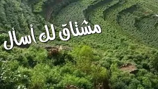 مشتاق لك اسأل دندنها