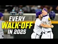 EVERY walk-off from the 2025 NCAA baseball tournament