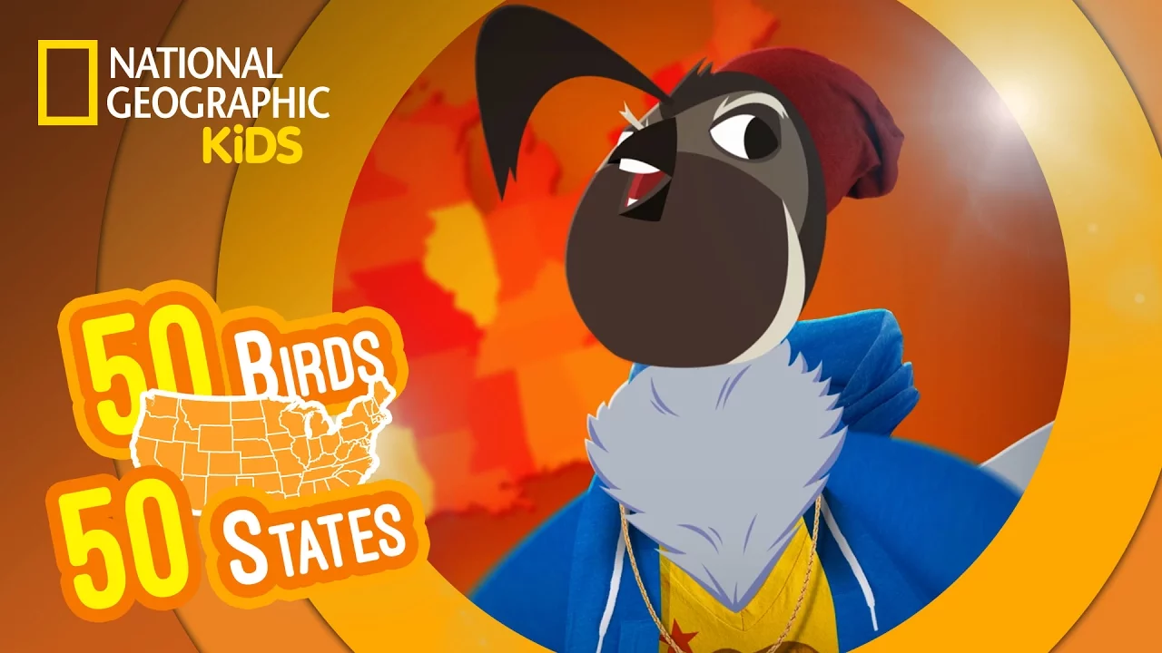 California - Feat. Rapper MC Val the Valley Quail | 50 Birds, 50 States California - Feat. Rapper MC Val the Valley Quail | 50 Birds, 50 States