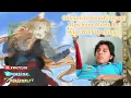 Download Lagu Ookami To Koushinryou: Merchant Meets the Wise Wolf Opening 1 | Reacción