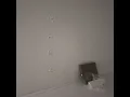 代言傷品 - 陳零九