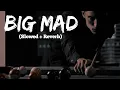 Download Lagu Big Mad (Slowed + Reverbed) -  Tarna | Byg Byrd