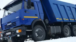                               دندنها