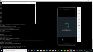 Hybrid Mobile Application Run Ionic Project - Tutorial 3