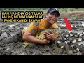 PANEN BELUT DAN IKAN DI RAWA YANG HABIS DI BERSIHKAN || MODAL DATANG KOSONG DAPET IKAN DAN BELUT 