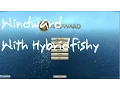 Windward The basics