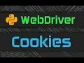 Selenium Webdriver - Cookies with Python WebDriver