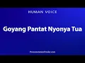 Lagu How To Pronounce Goyang Pantat Nyonya Tua