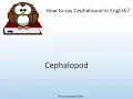 How to say Cephalopod in English - Pronunciation Owl