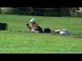 Download Lagu Quando Quando Quando - Engelbert Humperdinck || Chautauqua Park, Boulder, Colorado on Oct. 1, 2025