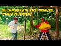 Lagu 🔴BANG REY LAMPUNG TERBARU || MAK DATUK HAJAR TANPA AMPUN JALAK SETA YANG SUDAH MENAWAN B4Y1 WARGA 