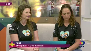 Pet News: ONG ajuda no resgate de animais em Timbó