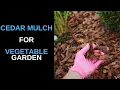 Cedar Mulch for Vegetable Garden