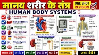 मानव शरीर के तंत्र 🔥 | Circulatory, Excretory & Nervous System Complete Revision||