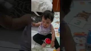                     دندنها