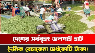 জমে উঠেছে দেশের সর্ববৃহৎ জলপাই হাট দৈনিক বেচাকেনা অর্ধকোটি টাকা!