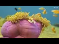 Music Of Angels + Underwater Footage • Music To Heal All Pains Of The Body, Soul And Spirit