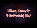 Download Lagu Blizną Zaszyty - Nie Poddaj Się (Wersja SI)
