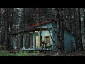 Download Lagu Off Grid hut bouwen in het bos, bomen kappen, het huis schilderen, regenachtige dag