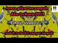 Download Lagu SUARA PIKAT SEMUA BURUNG LIAR /KECIL [TERBARU 2021 #Rohmanalvanderos75
