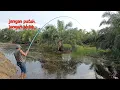 Lagu LUAR BIASA ‼️ Ganasnya ikan gabus di kanal yang habis di cuci parit