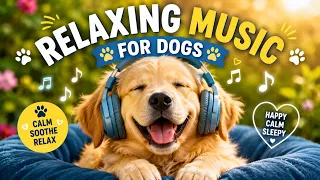 The Ultimate Music For A Sleepy Dog