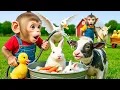 Download Lagu Monyet BiBi Memandikan Bayi Hewan di Peternakan Lucu - MONO BIBI ESP