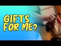 Special Gift For A Special Day