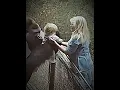 Download Lagu Only a mother can truly understand another mother.❤️#gorilla #zoo #animals #mother #baby