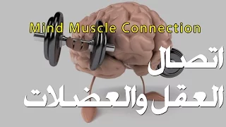 اتصال العقل والعضلات الترابط العقلي العضلي Mind Muscle Connection 