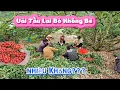 Download Lagu VẢI THIỀU LỤC NGẠN BÀ CON BỎ KHÔNG BẺ CÓ NHIỀU I NÚI ĐỒI LỤC NGẠN