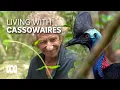 Download Lagu Birdwatcher's paradise - Kenn Parker built a rainforest home among the cassowaries | ABC Australia