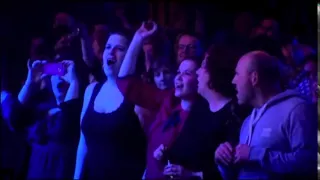 blue all rise the big reunion concert dvd 