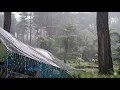 Download Lagu Solo camping in Heavy rain||Relaxing camping in cozy tent