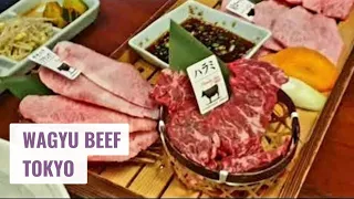 Download Wagyu Beef Experience - Tokyo Restaurant that uses the Best Wagyu in the World MP3