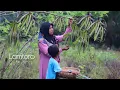 Download Lagu Menu masakan pagi² di desa, Sambal terasi PETE cina sederhana tapi nikmat luar biasa, masakan desa