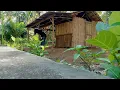 video mr. sunshine - fredikayaman