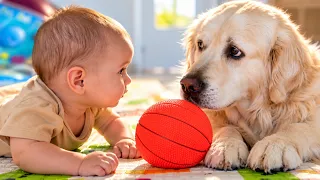 Golden Retriever Doesn't Know How to Play With the Baby