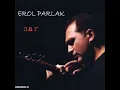 Bu Gün Ayın Işığı - Erol Parlak