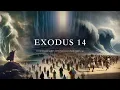 Exodus 14 How Moses Led the Greatest Escape in History AI Bible 2024