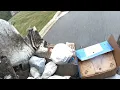 Wednesday trash pickup