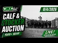 26 - Calf Stocker Auction