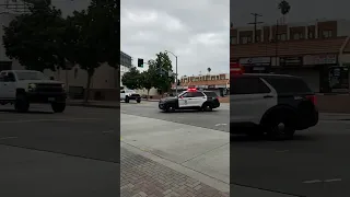 LAPD Police Sound Car Siren 